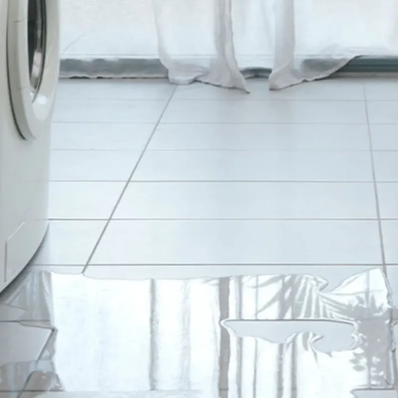 Appliance Leak Cleanup in Walker County, GA