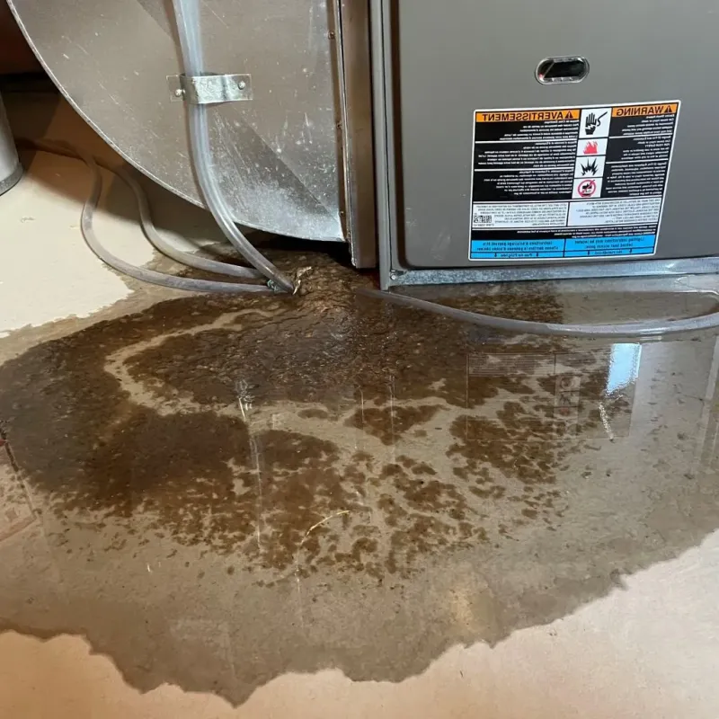 Pipe Burst and Leak Restoration in Walker County, GA