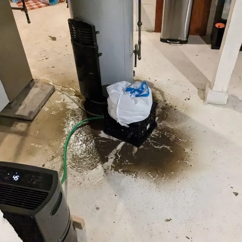 Sewage Backup Cleanup Service in Walker County, GA